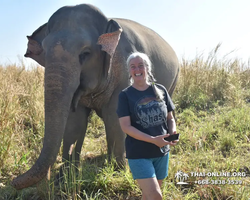 Заповедник слонов Elephant Jungle Sanctuary Pattaya - фото 158