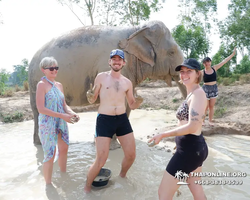 Заповедник слонов Elephant Jungle Sanctuary Pattaya - фото 446