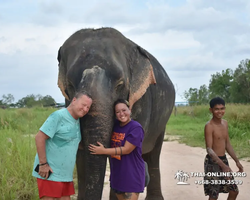 Заповедник слонов Elephant Jungle Sanctuary Pattaya - фото 1084