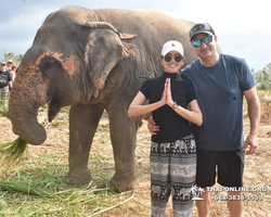 Заповедник слонов Elephant Jungle Sanctuary Pattaya - фото 318