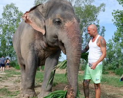 Заповедник слонов Elephant Jungle Sanctuary Pattaya - фото 246