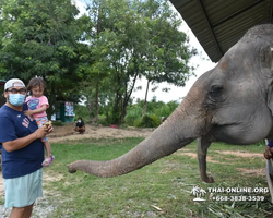 Заповедник слонов Elephant Jungle Sanctuary Pattaya - фото 149