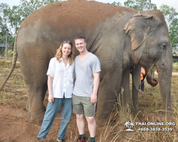 Заповедник слонов Elephant Jungle Sanctuary Pattaya - фото 253