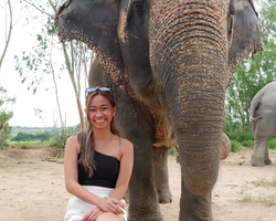 Заповедник слонов Elephant Jungle Sanctuary Pattaya - фото 210