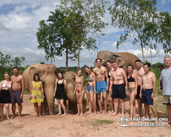 Заповедник слонов Elephant Jungle Sanctuary Pattaya - фото 155