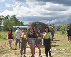 Заповедник слонов Elephant Jungle Sanctuary Pattaya - фото 612