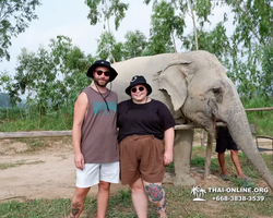 Заповедник слонов Elephant Jungle Sanctuary Pattaya - фото 36