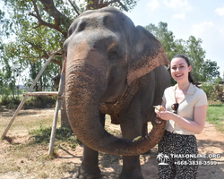 Заповедник слонов Elephant Jungle Sanctuary Pattaya - фото 59