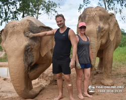 Заповедник слонов Elephant Jungle Sanctuary Pattaya - фото 519