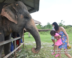 Заповедник слонов Elephant Jungle Sanctuary Pattaya - фото 685