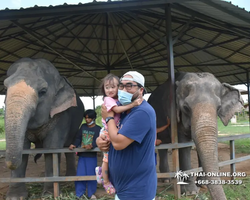 Заповедник слонов Elephant Jungle Sanctuary Pattaya - фото 838