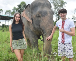 Заповедник слонов Elephant Jungle Sanctuary Pattaya - фото 238