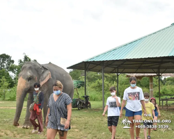 Заповедник слонов Elephant Jungle Sanctuary Pattaya - фото 906