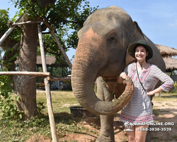 Заповедник слонов Elephant Jungle Sanctuary Pattaya - фото 41