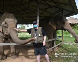 Заповедник слонов Elephant Jungle Sanctuary Pattaya - фото 749