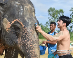 Заповедник слонов Elephant Jungle Sanctuary Pattaya - фото 458