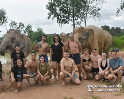 Заповедник слонов Elephant Jungle Sanctuary Pattaya - фото 567