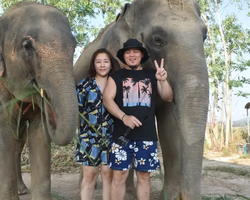 Заповедник слонов Elephant Jungle Sanctuary Pattaya - фото 33