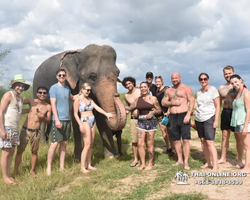 Заповедник слонов Elephant Jungle Sanctuary Pattaya - фото 492