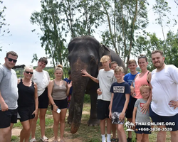 Заповедник слонов Elephant Jungle Sanctuary Pattaya - фото 72