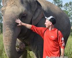 Заповедник слонов Elephant Jungle Sanctuary Pattaya - фото 397