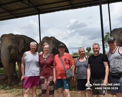 Заповедник слонов Elephant Jungle Sanctuary Pattaya - фото 806