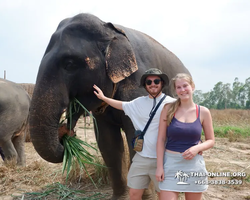 Заповедник слонов Elephant Jungle Sanctuary Pattaya - фото 703