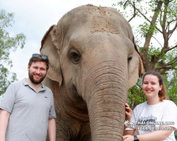 Заповедник слонов Elephant Jungle Sanctuary Pattaya - фото 579