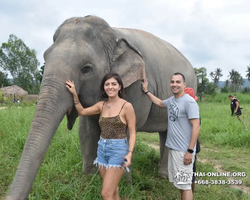 Заповедник слонов Elephant Jungle Sanctuary Pattaya - фото 496