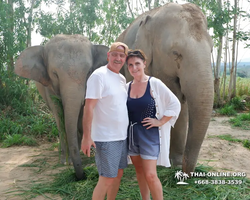 Заповедник слонов Elephant Jungle Sanctuary Pattaya - фото 146