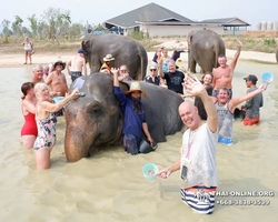 Заповедник слонов Elephant Jungle Sanctuary Pattaya - фото 707