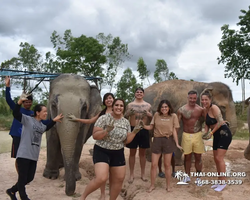 Заповедник слонов Elephant Jungle Sanctuary Pattaya - фото 509