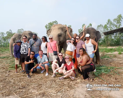 Заповедник слонов Elephant Jungle Sanctuary Pattaya - фото 127
