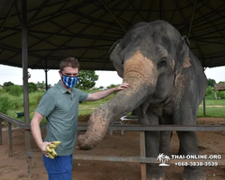Заповедник слонов Elephant Jungle Sanctuary Pattaya - фото 1037