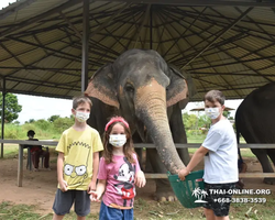 Заповедник слонов Elephant Jungle Sanctuary Pattaya - фото 627