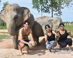 Заповедник слонов Elephant Jungle Sanctuary Pattaya - фото 252