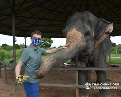 Заповедник слонов Elephant Jungle Sanctuary Pattaya - фото 1022