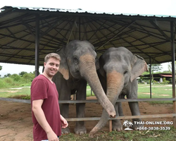 Заповедник слонов Elephant Jungle Sanctuary Pattaya - фото 851