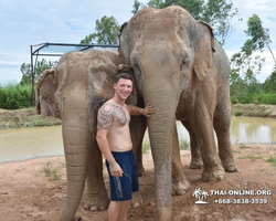 Заповедник слонов Elephant Jungle Sanctuary Pattaya - фото 280