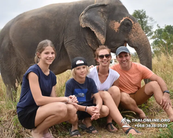 Заповедник слонов Elephant Jungle Sanctuary Pattaya - фото 470