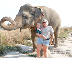 Заповедник слонов Elephant Jungle Sanctuary Pattaya - фото 359