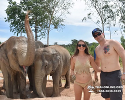 Заповедник слонов Elephant Jungle Sanctuary Pattaya - фото 209