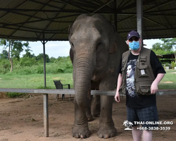 Заповедник слонов Elephant Jungle Sanctuary Pattaya - фото 880