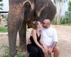 Заповедник слонов Elephant Jungle Sanctuary Pattaya - фото 286