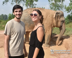 Заповедник слонов Elephant Jungle Sanctuary Pattaya - фото 534