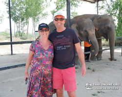 Заповедник слонов Elephant Jungle Sanctuary Pattaya - фото 441