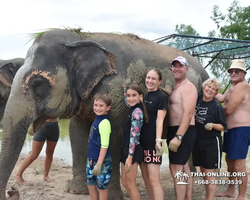 Заповедник слонов Elephant Jungle Sanctuary Pattaya - фото 533
