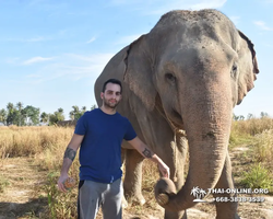 Заповедник слонов Elephant Jungle Sanctuary Pattaya - фото 518