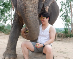 Заповедник слонов Elephant Jungle Sanctuary Pattaya - фото 426
