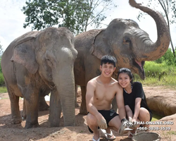Заповедник слонов Elephant Jungle Sanctuary Pattaya - фото 352